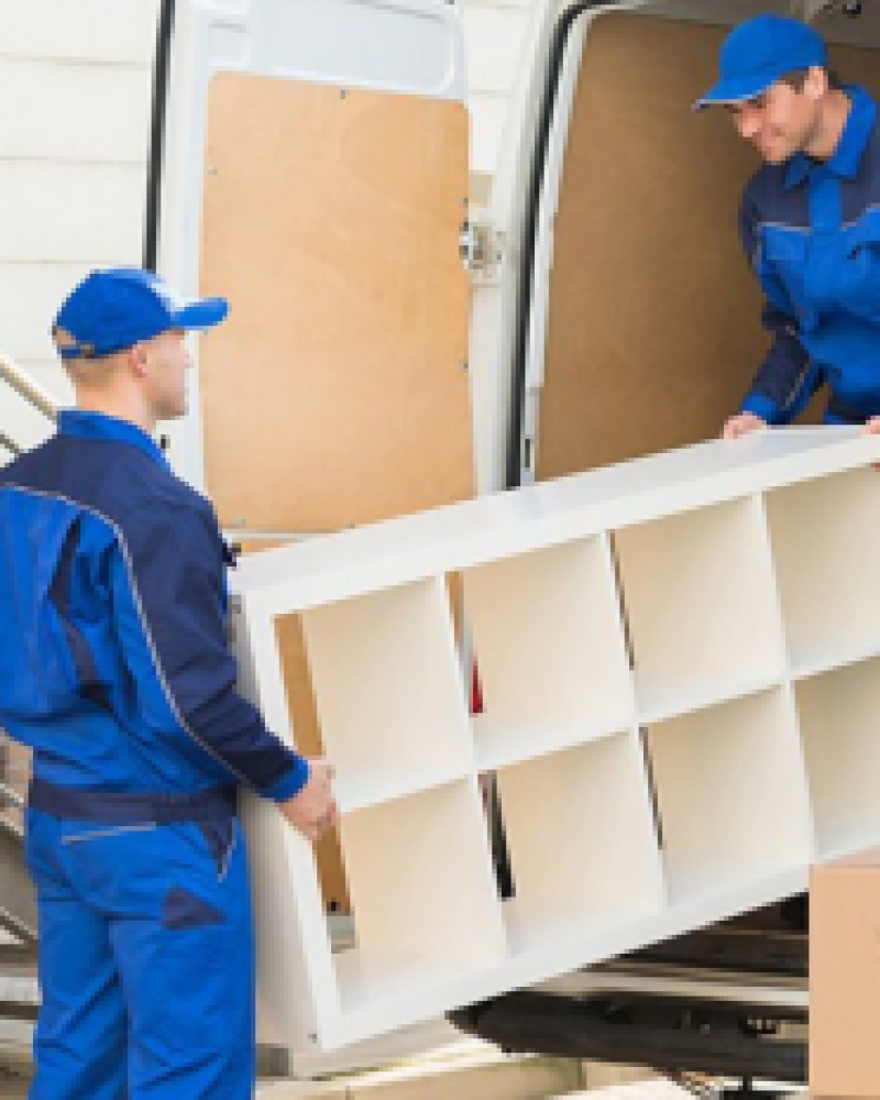 Hồ sơ năng lực