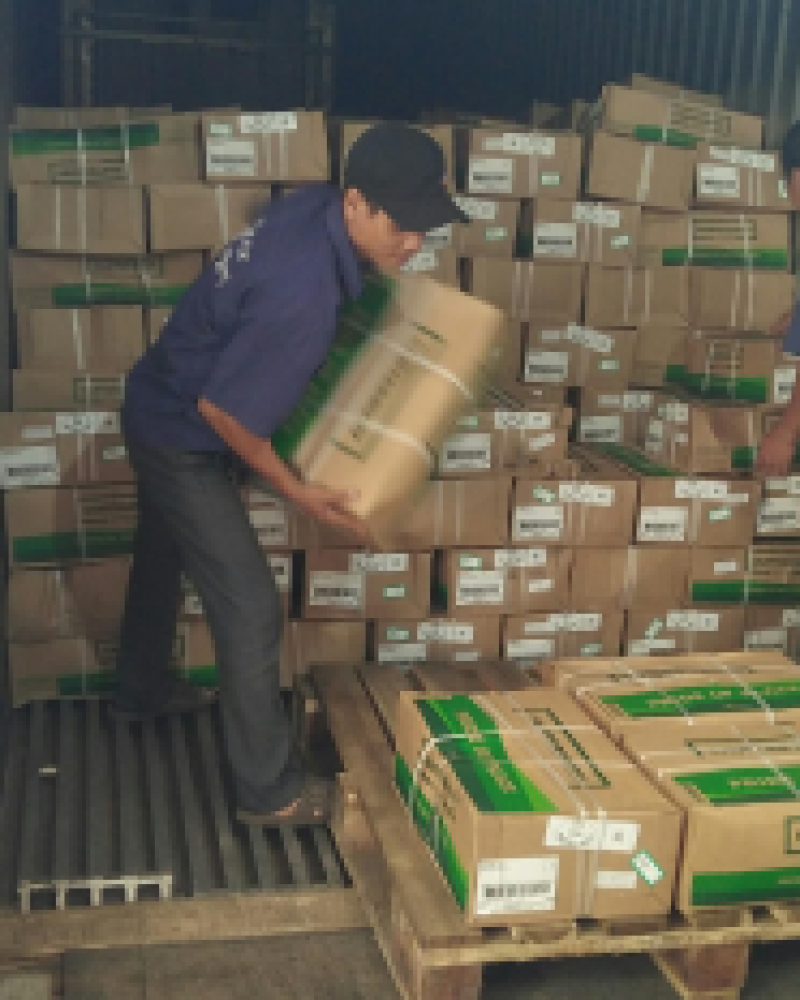 Hồ sơ năng lực